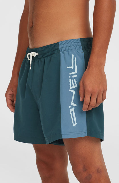 Retro 14'' Swim Shorts Men Alma Steel Colour Block