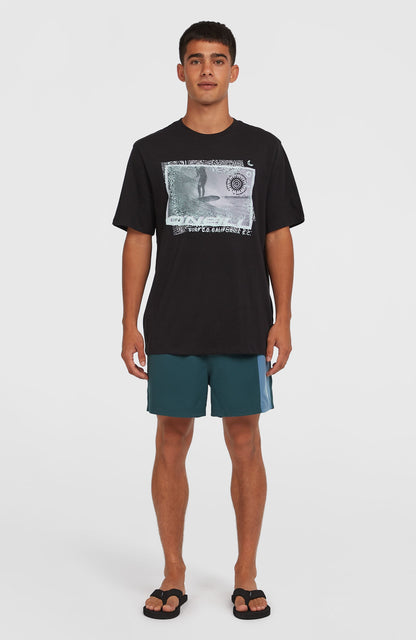 Retro 14'' Swim Shorts Men Alma Steel Colour Block