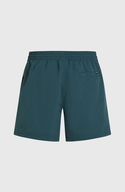 Retro 14'' Swim Shorts Men Alma Steel Colour Block