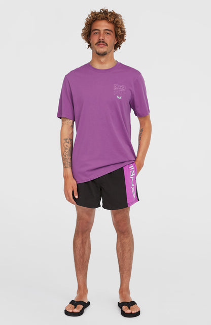 Retro 14'' Swim Shorts Men Digitalis Colour Block