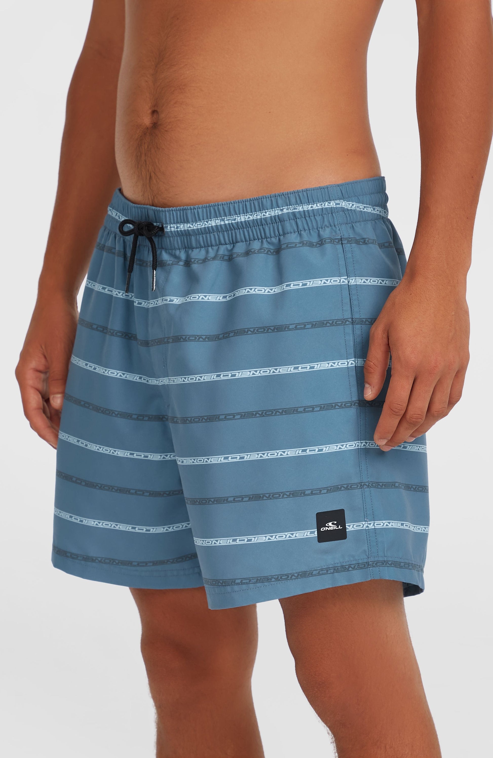 Cali First 15'' Swim Shorts Men Blue O'Neill Stripe