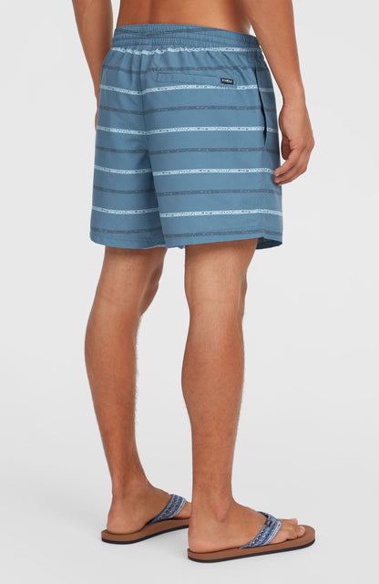 Cali First 15'' Swim Shorts Men Blue O'Neill Stripe