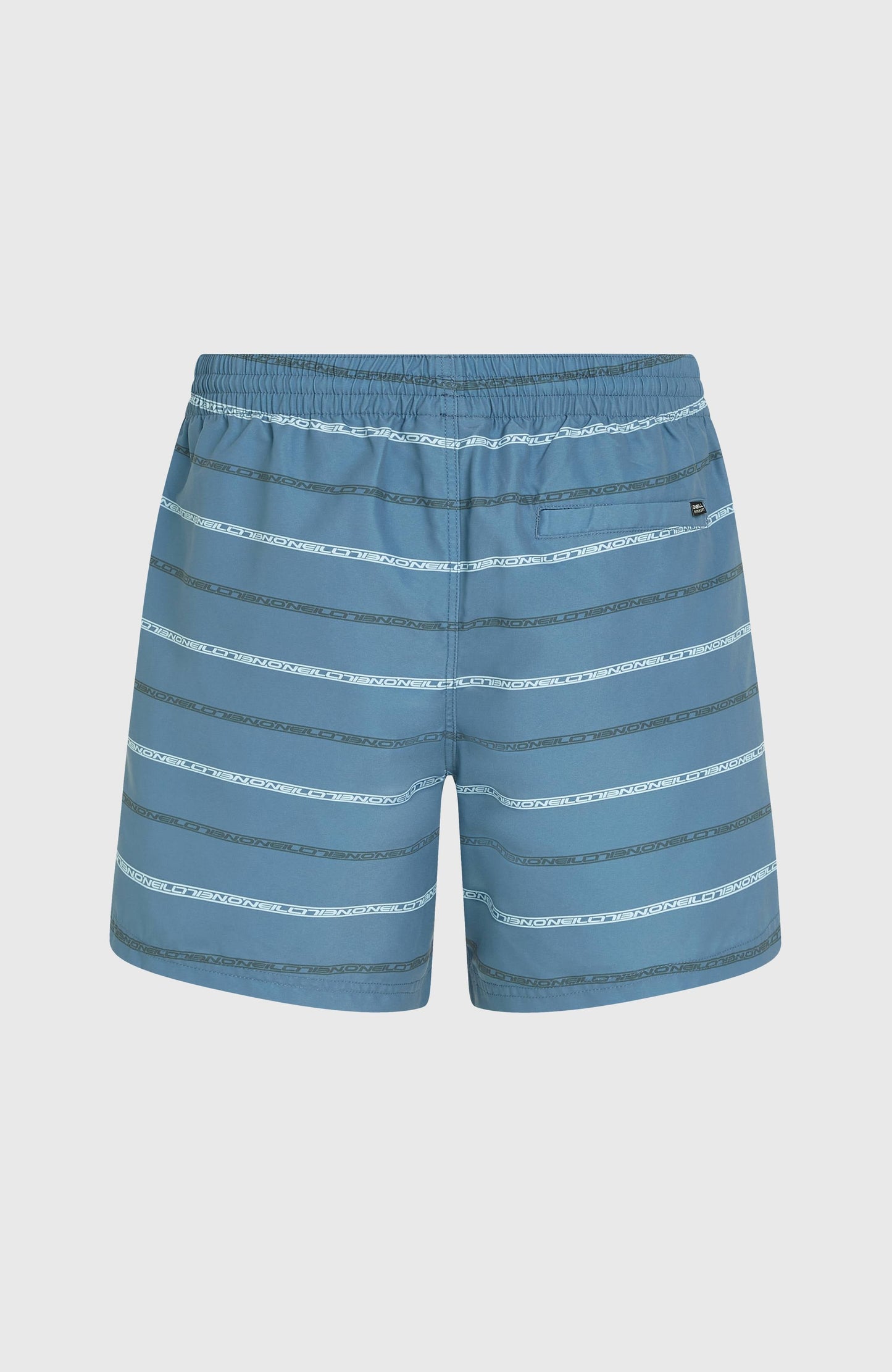 Cali First 15'' Swim Shorts Men Blue O'Neill Stripe