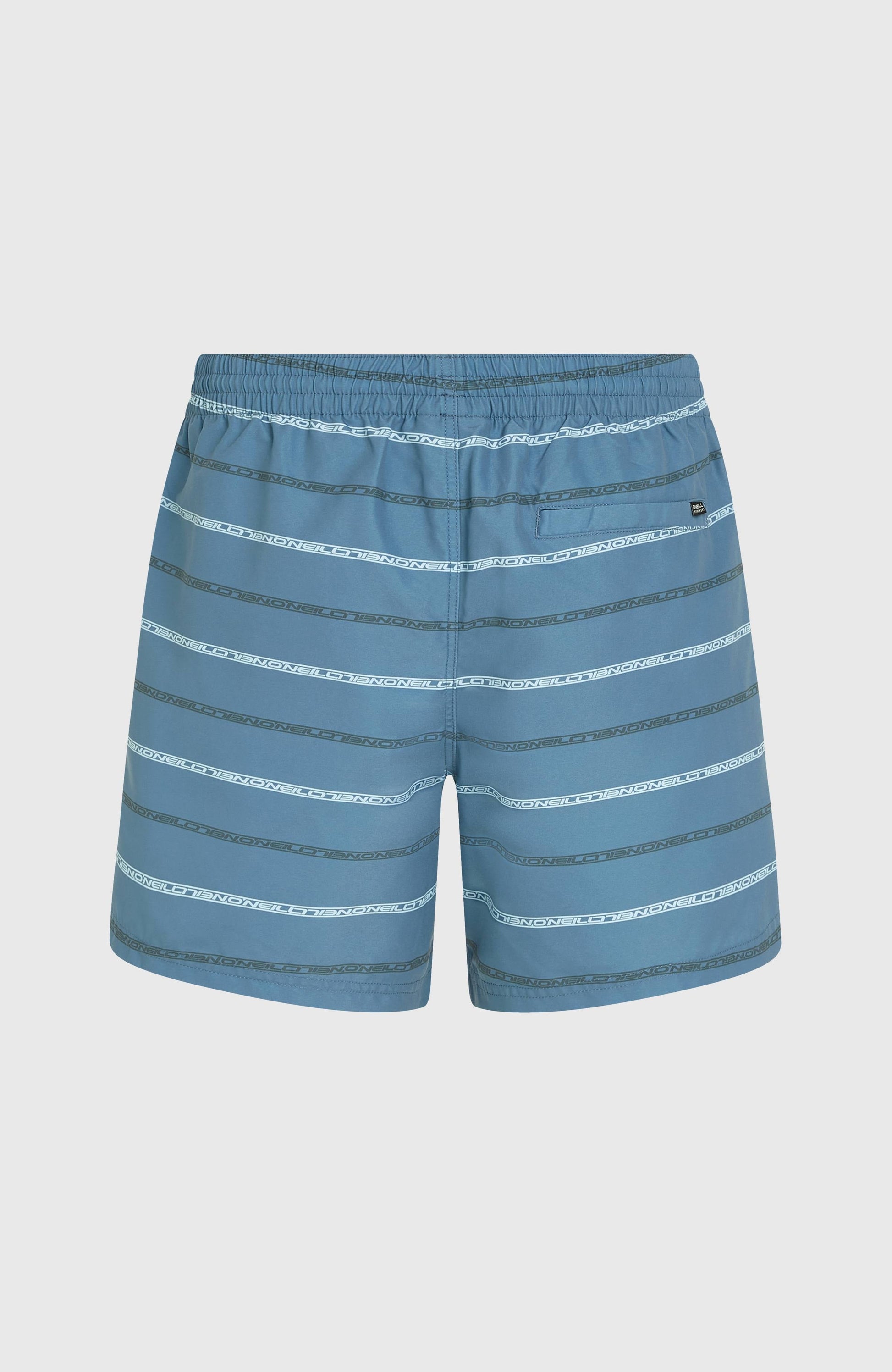 Cali First 15'' Swim Shorts Men Blue O'Neill Stripe