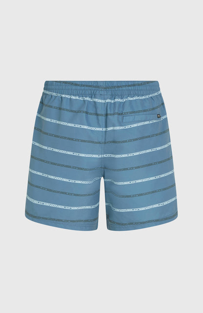 Cali First 15'' Swim Shorts Men Blue O'Neill Stripe