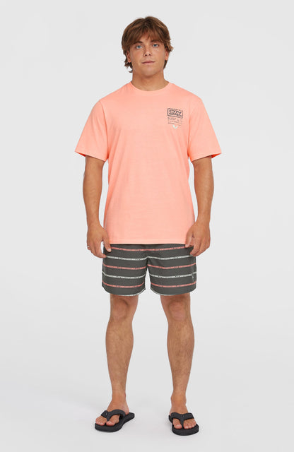 Cali First 15'' Swim Shorts Men Grey O'Neill Stripe