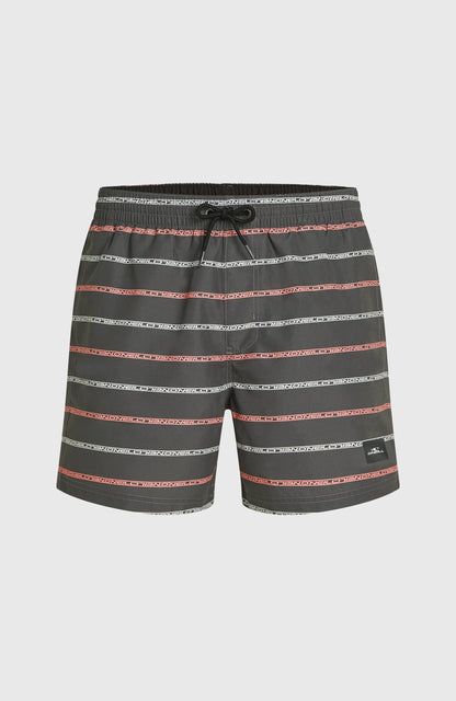 Cali First 15'' Swim Shorts Men Grey O'Neill Stripe