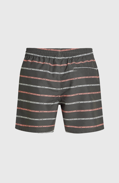 Cali First 15'' Swim Shorts Men Grey O'Neill Stripe