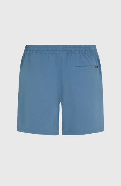 Cali Block 15'' Swim Shorts Men Blue Dipped Leaves