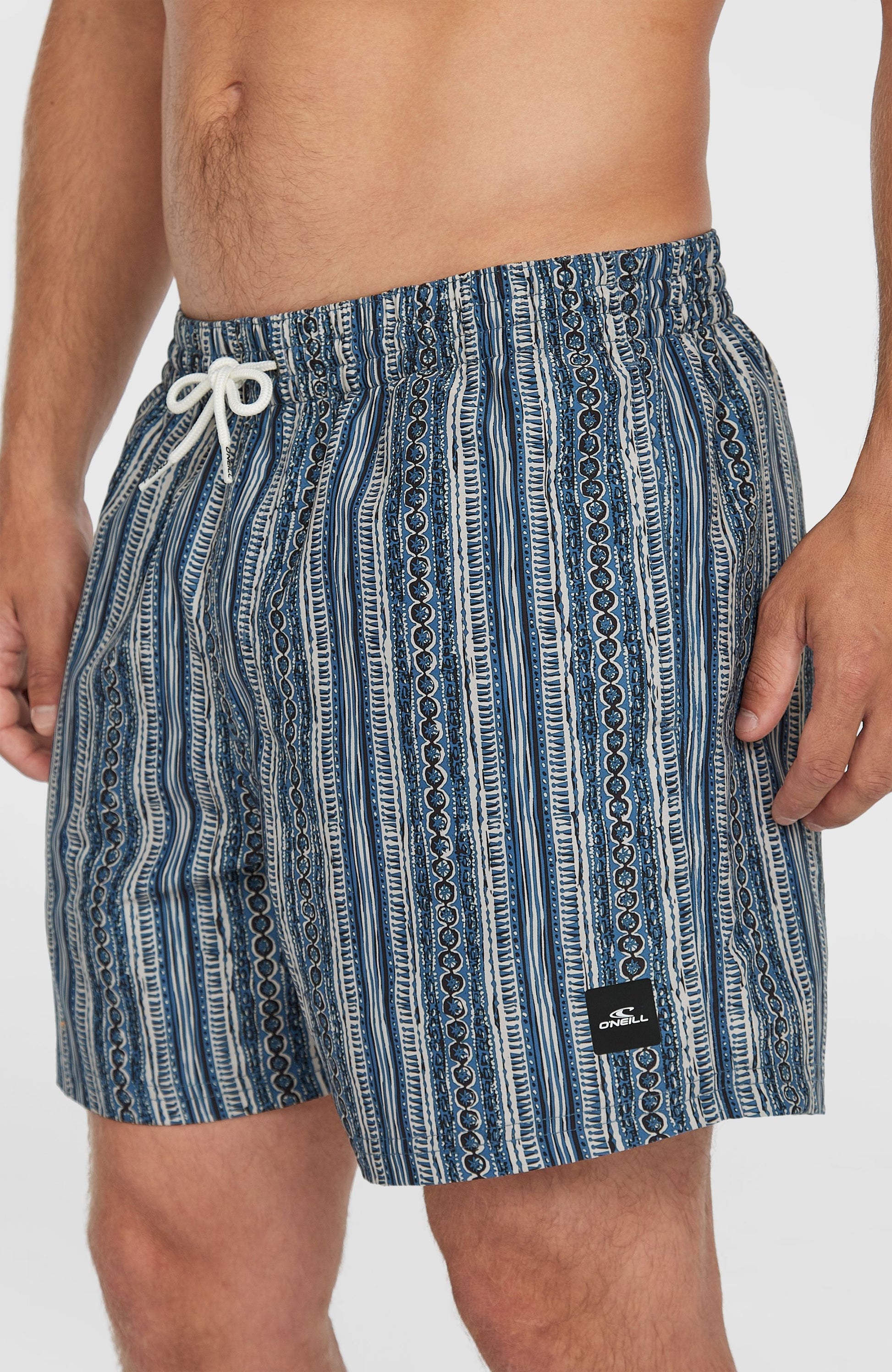 Cali Print 15'' Swim Shorts Men Blue Pressed Lines