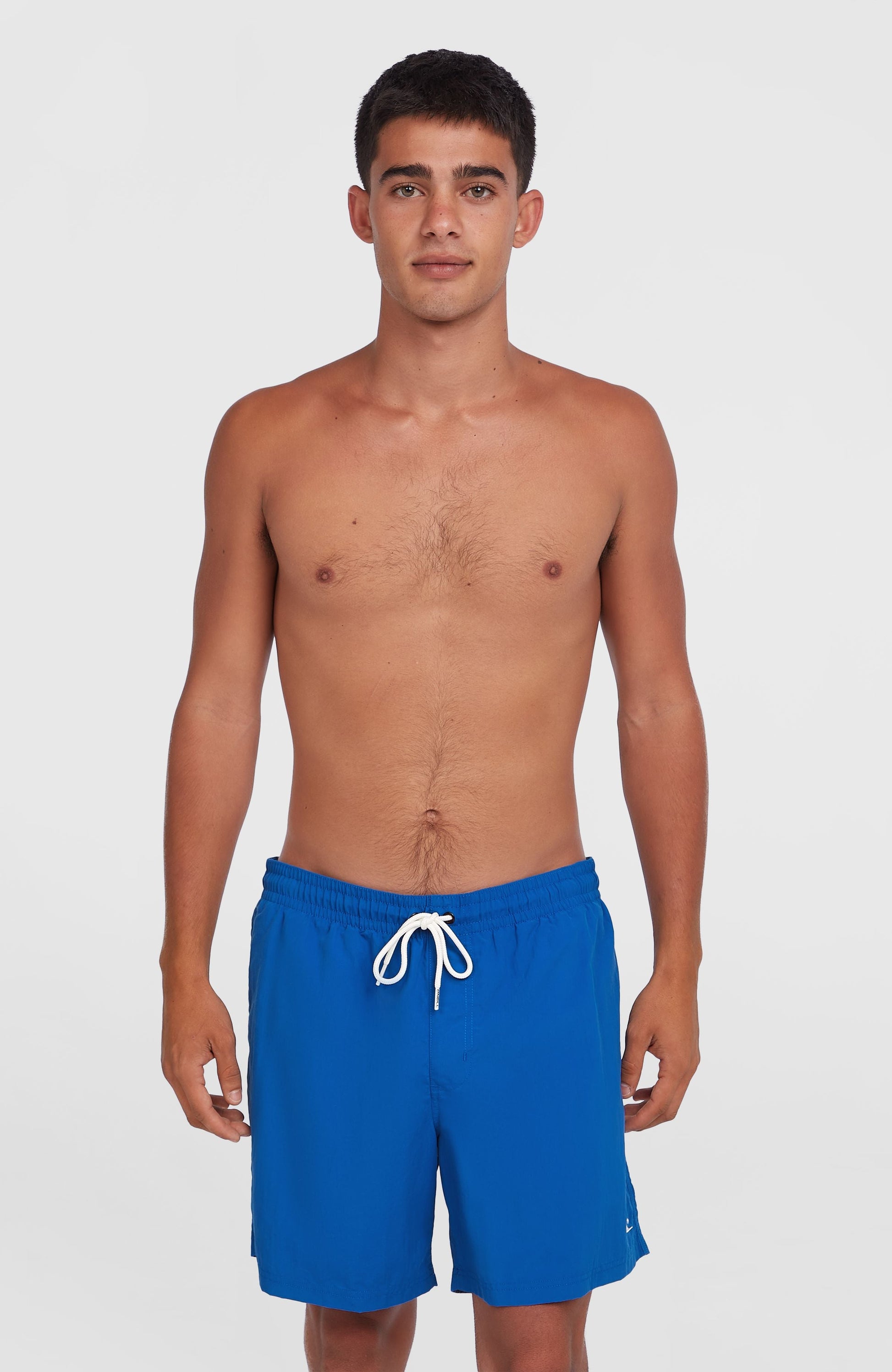 O'Neill Vert 16" Swim Shorts Men Victoria Blue
