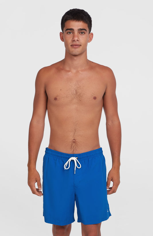 O'Neill Vert 16" Swim Shorts Men Victoria Blue