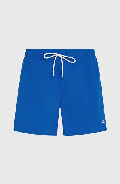 O'Neill Vert 16" Swim Shorts Men Victoria Blue