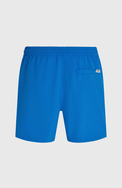 O'Neill Logo 16" Swimshorts Men Victoria Blue