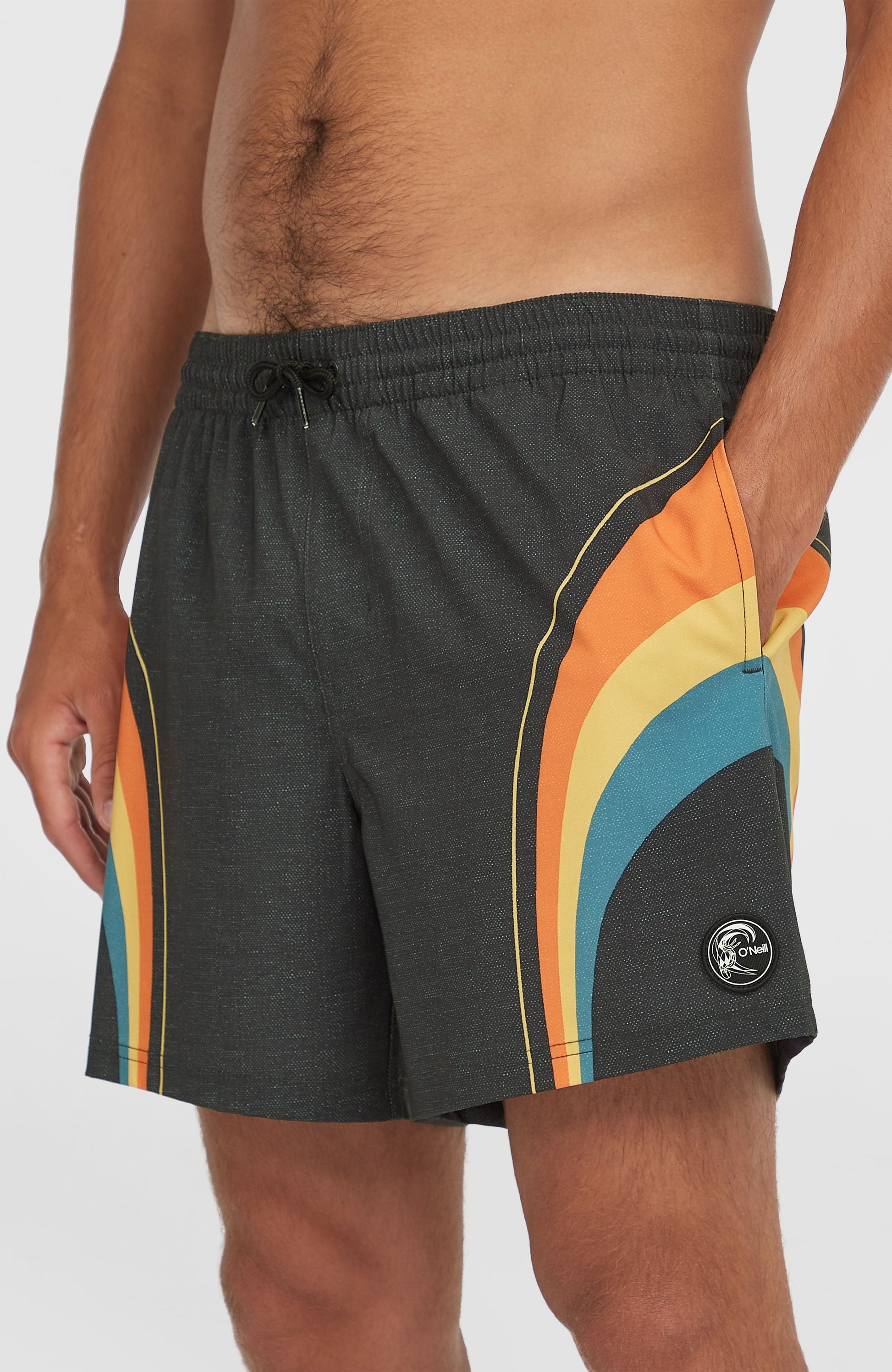 O'Riginals Longboard 15'' Swim Shorts Men Black Originals Stripe