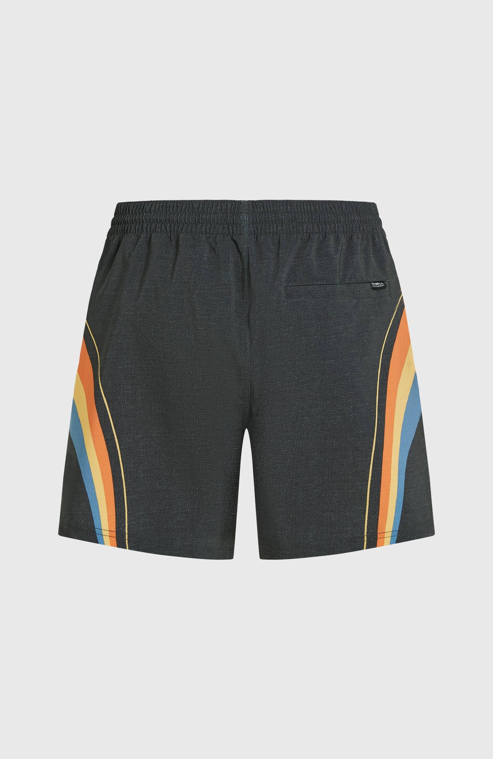 O'Riginals Longboard 15'' Swim Shorts Men Black Originals Stripe