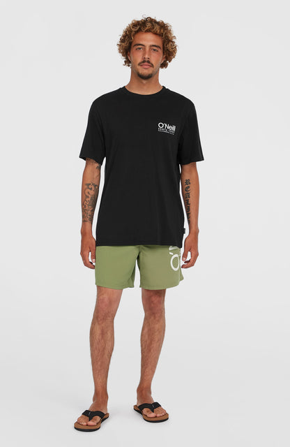 Original Cali 16'' Swim Shorts Men Avery Fern