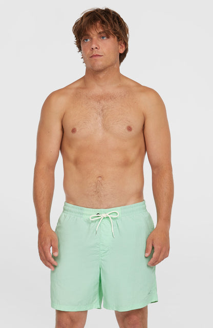O’Neill Vert 16'' Swim Shorts Men Mildrew Mint