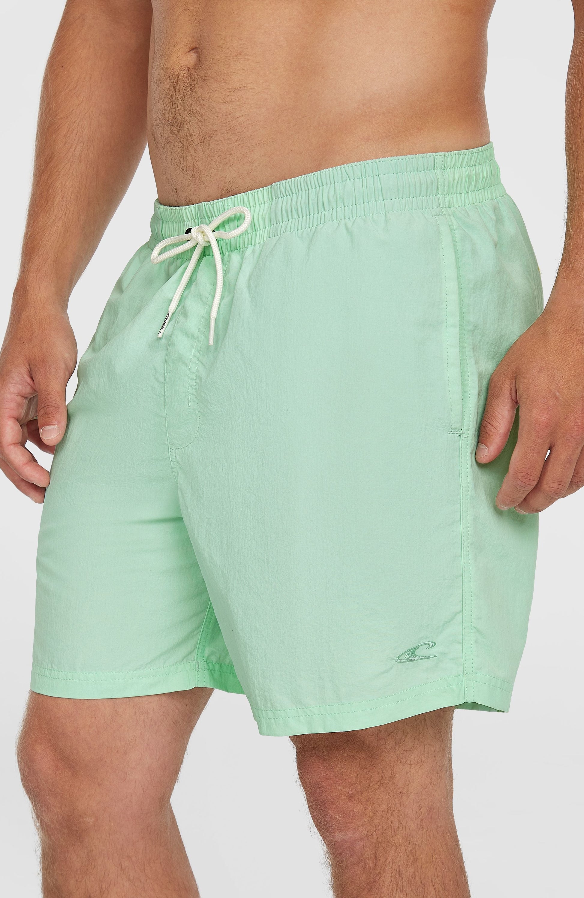 O’Neill Vert 16'' Swim Shorts Men Mildrew Mint