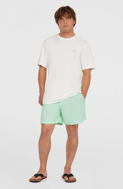 O’Neill Vert 16'' Swim Shorts Men Mildrew Mint