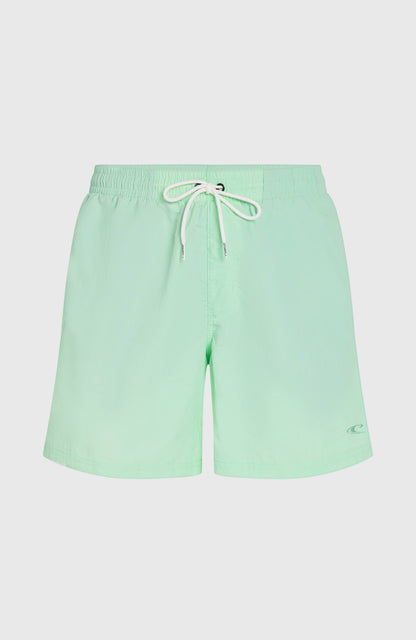 O’Neill Vert 16'' Swim Shorts Men Mildrew Mint