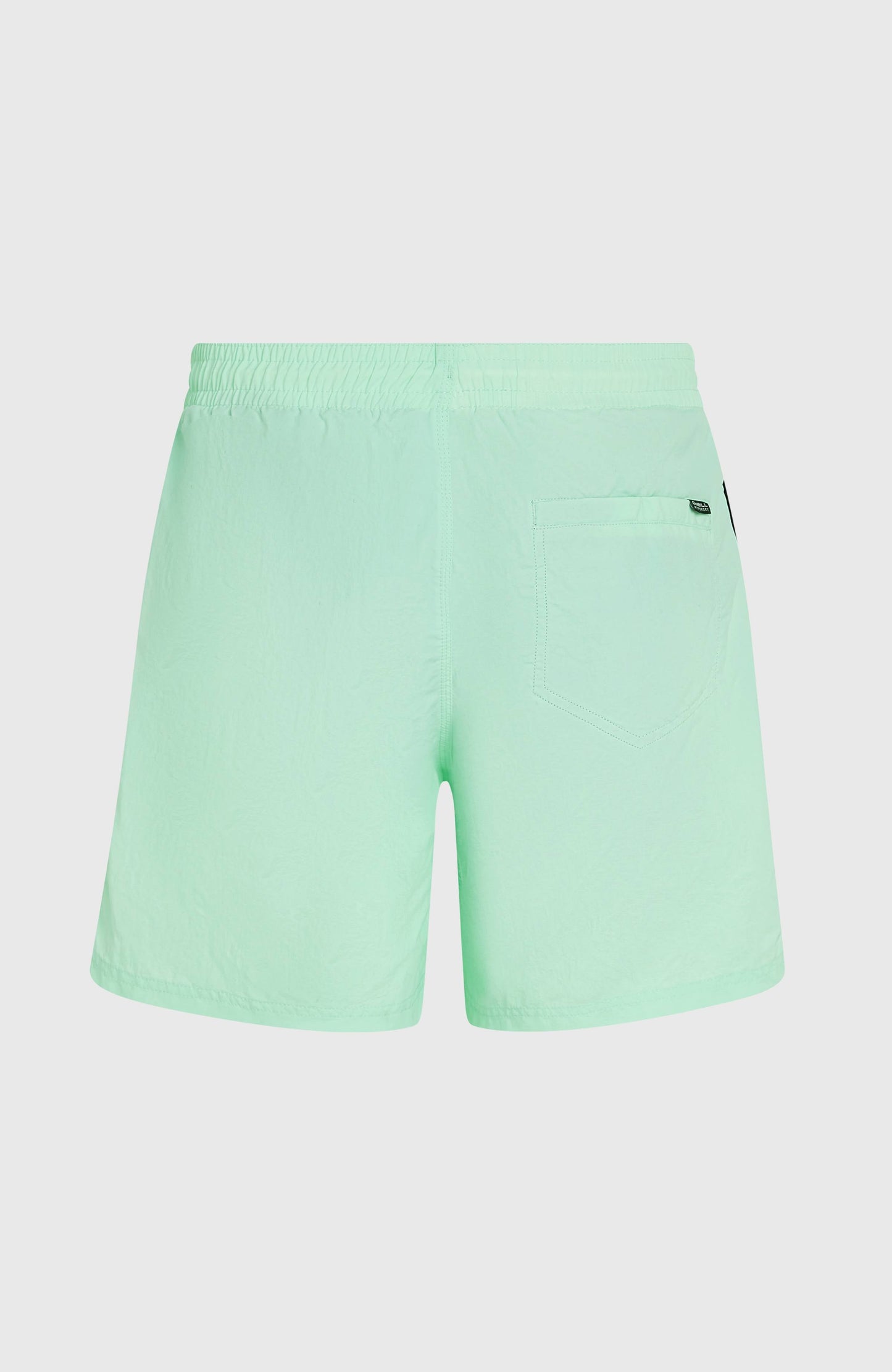 O’Neill Vert 16'' Swim Shorts Men Mildrew Mint