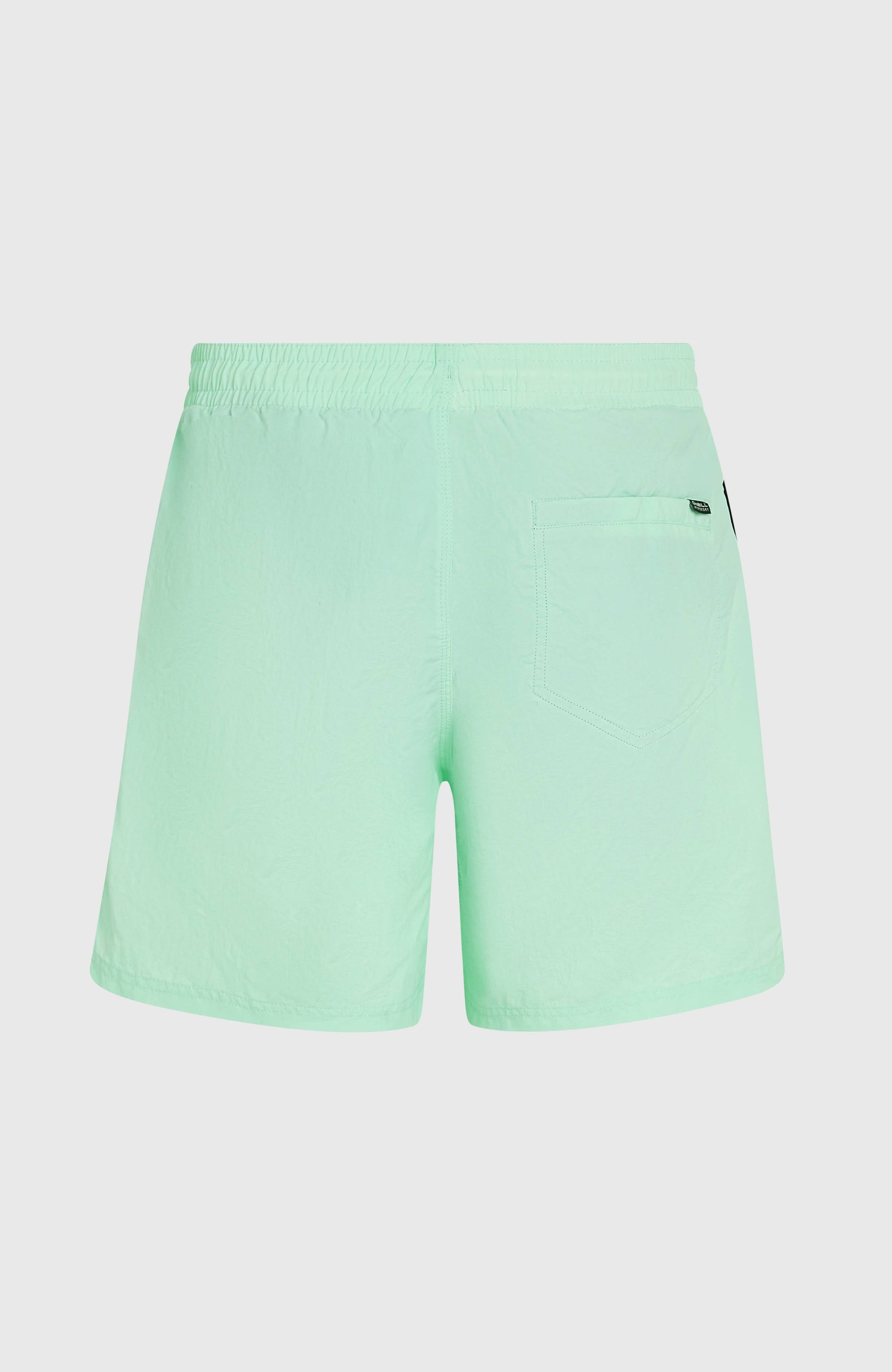 O’Neill Vert 16'' Swim Shorts Men Mildrew Mint