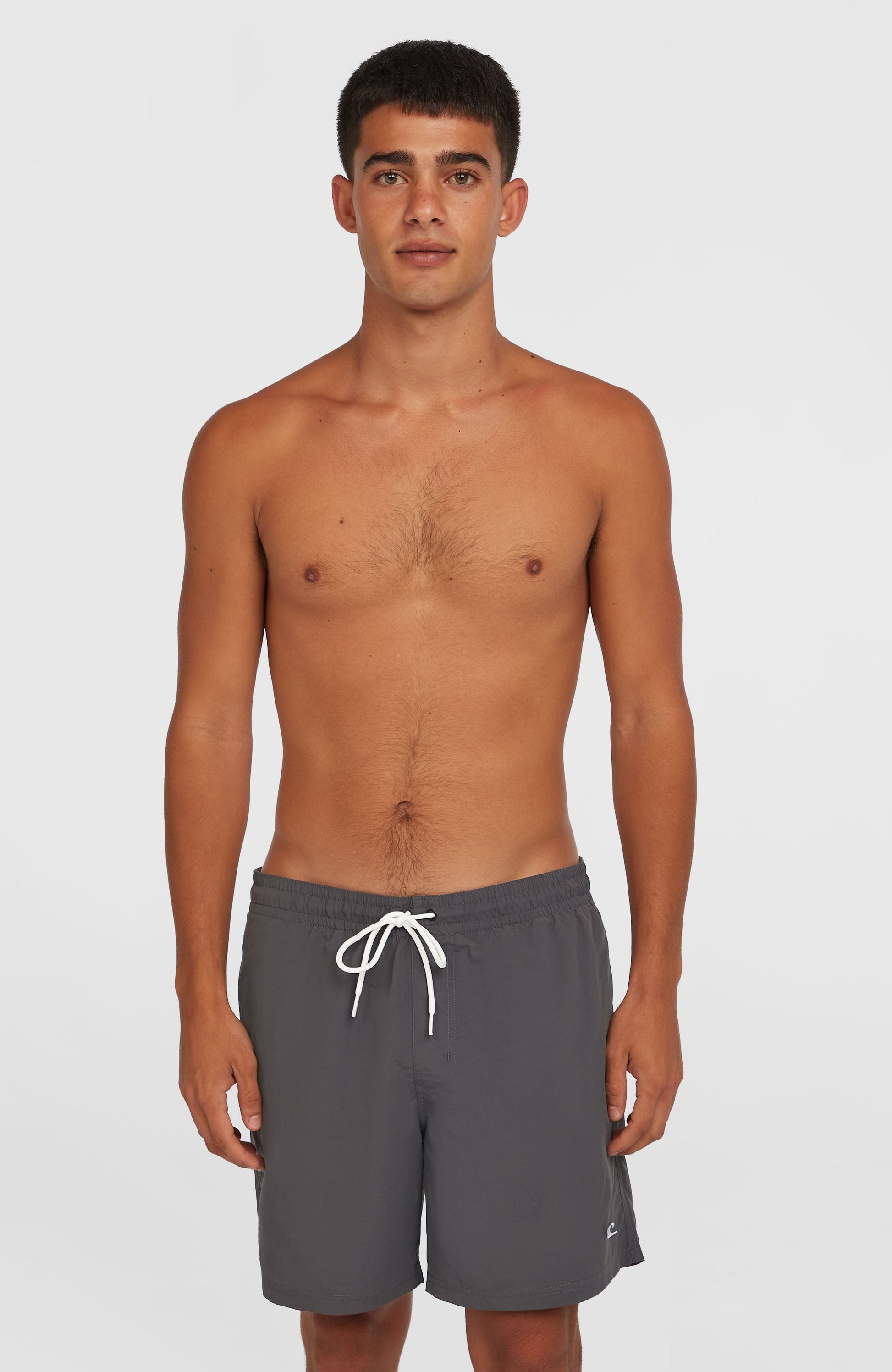 O'Neill Vert 16" Swim Shorts Men Asphalt