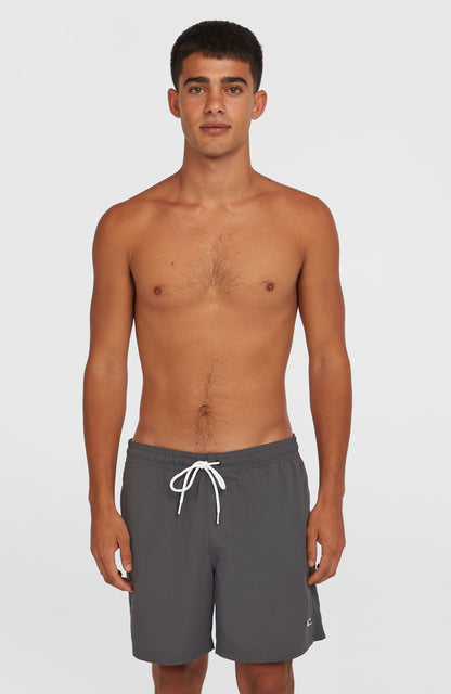 O'Neill Vert 16" Swim Shorts Men Asphalt