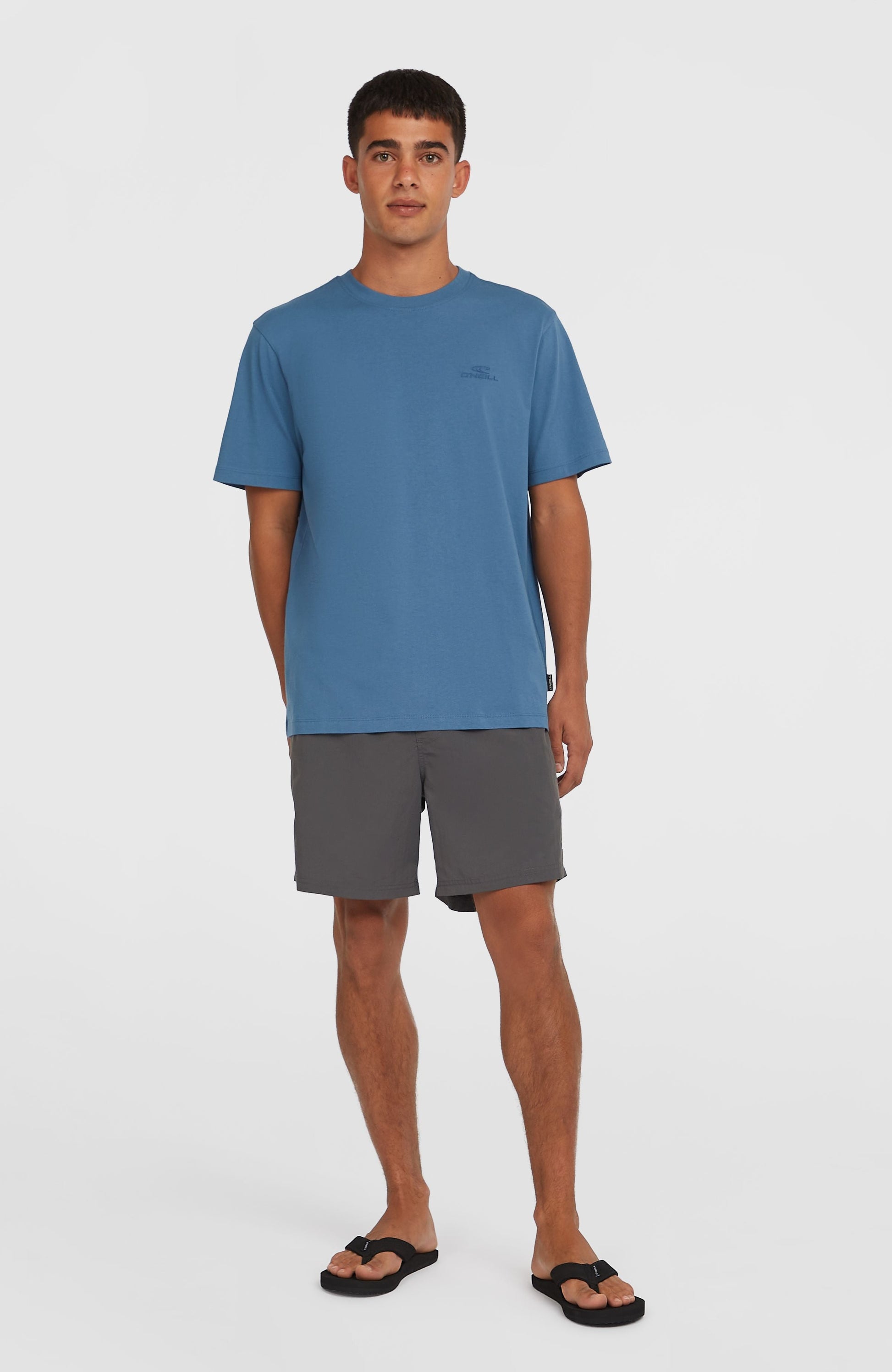 O'Neill Vert 16" Swim Shorts Men Asphalt