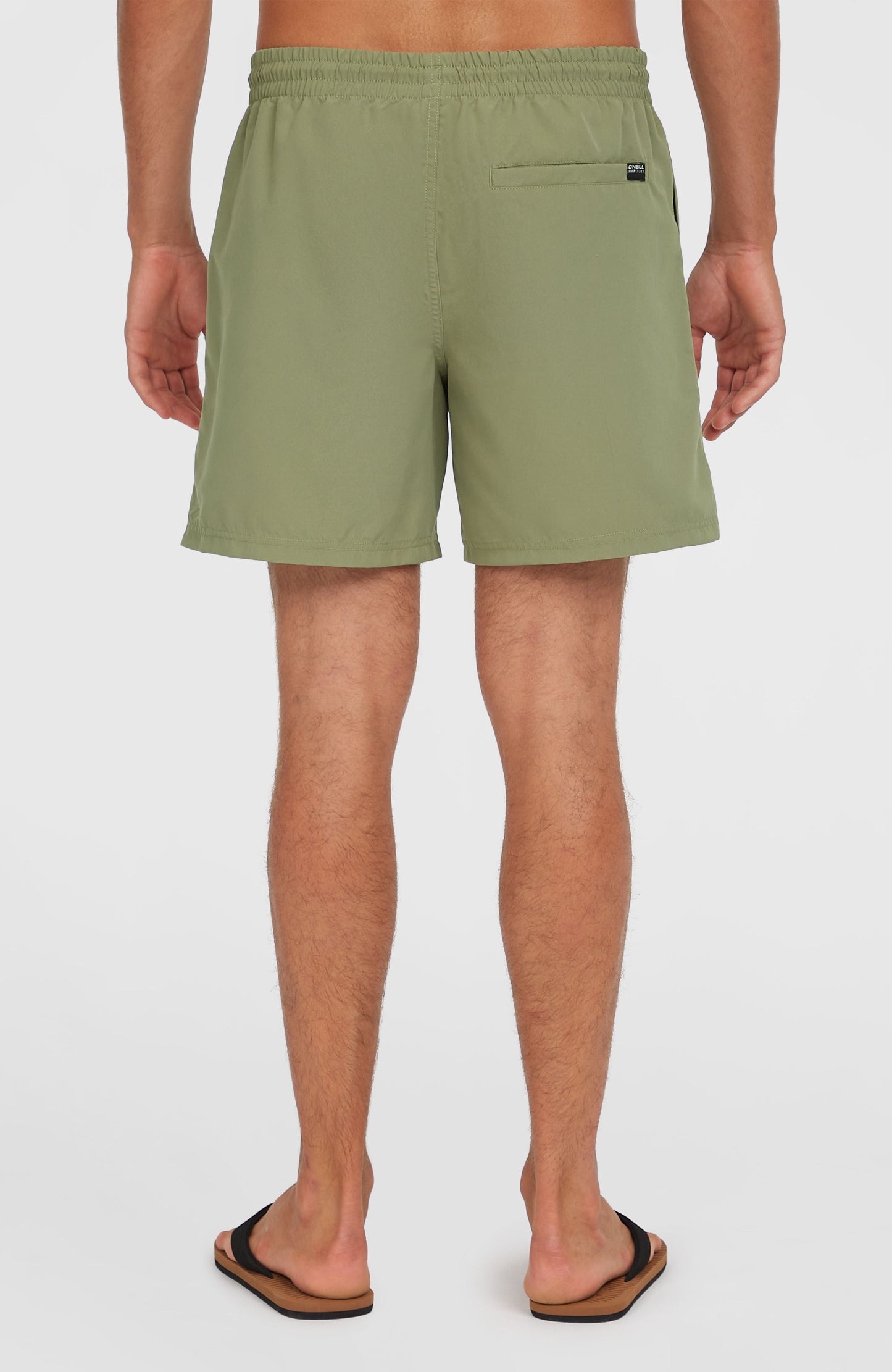 Cali 16'' Swim Shorts Men Avery Fern