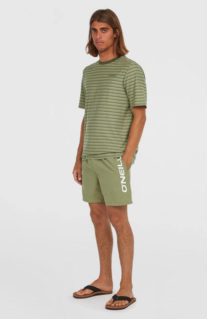 Cali 16'' Swim Shorts Men Avery Fern