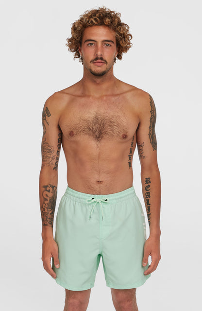 Cali 16'' Swim Shorts Men Mildrew Mint