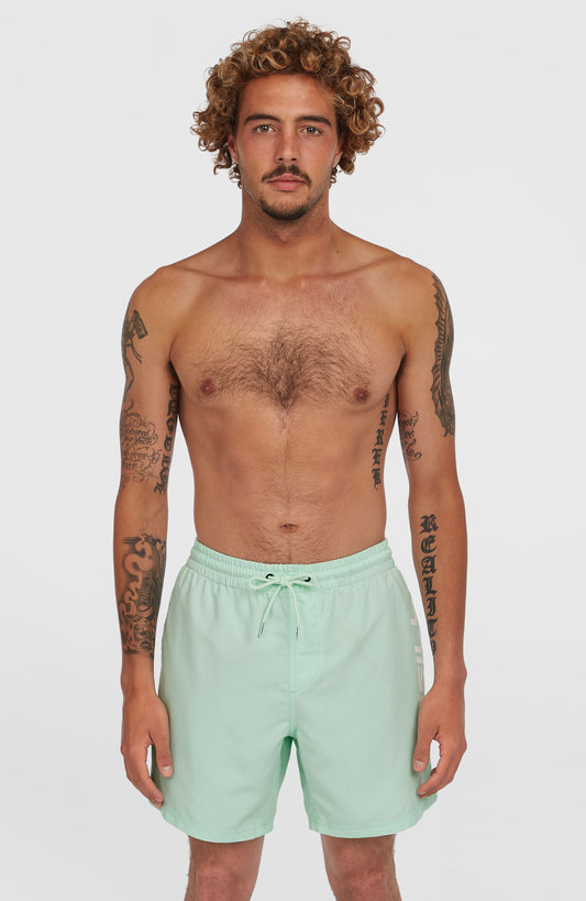 Cali 16'' Swim Shorts Men Mildrew Mint
