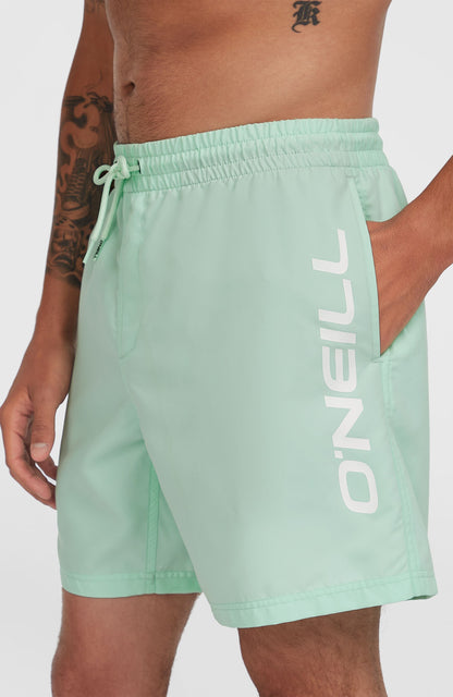 Cali 16'' Swim Shorts Men Mildrew Mint