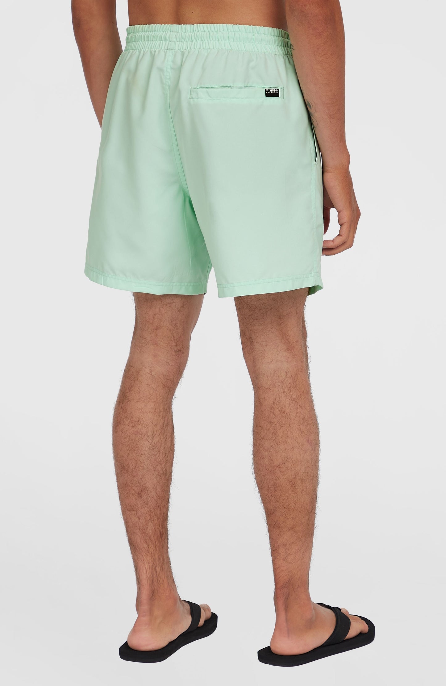 Cali 16'' Swim Shorts Men Mildrew Mint