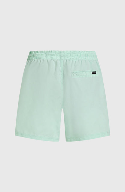 Cali 16'' Swim Shorts Men Mildrew Mint
