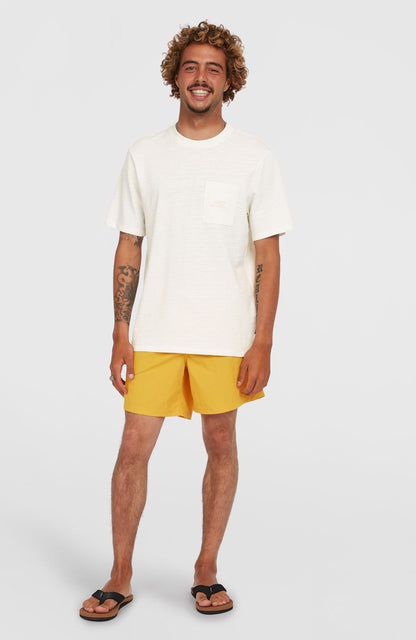 O’Neill Vert 16'' Swim Shorts Men Golden Haze