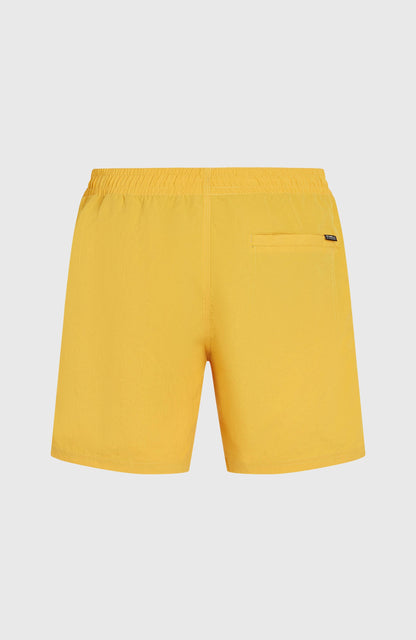O’Neill Vert 16'' Swim Shorts Men Golden Haze