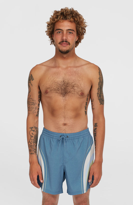 O'Riginals Longboard 15'' Swim Shorts Men Blue Originals Stripe