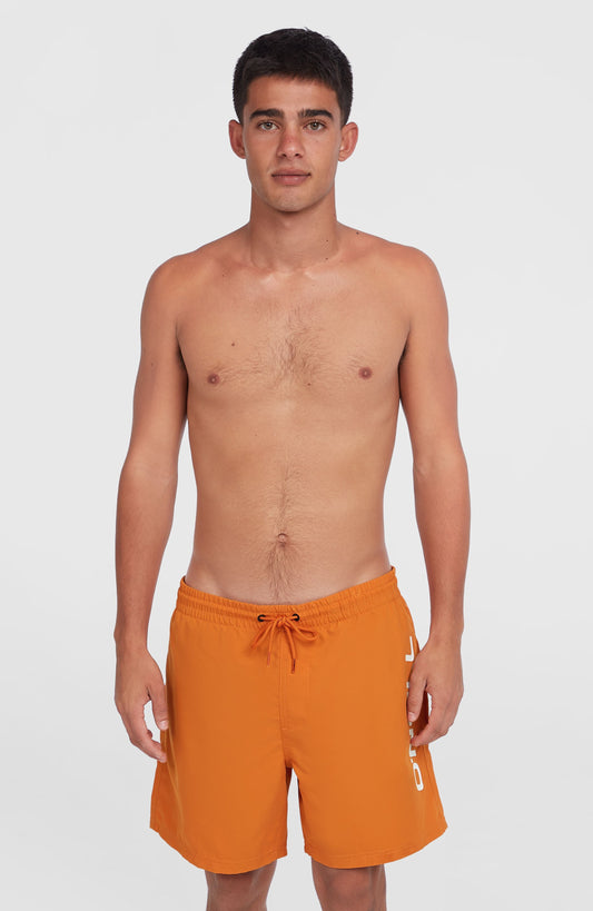 Cali 16'' Swim Shorts Men Cinnamon Stick