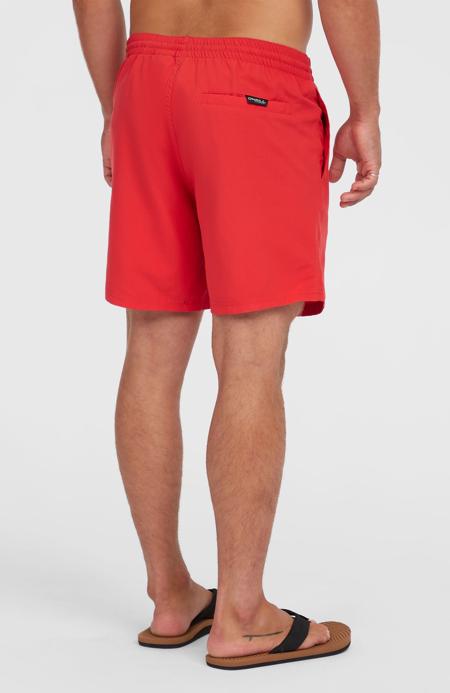 Cali 16" Swim Shorts Men High Risk Red