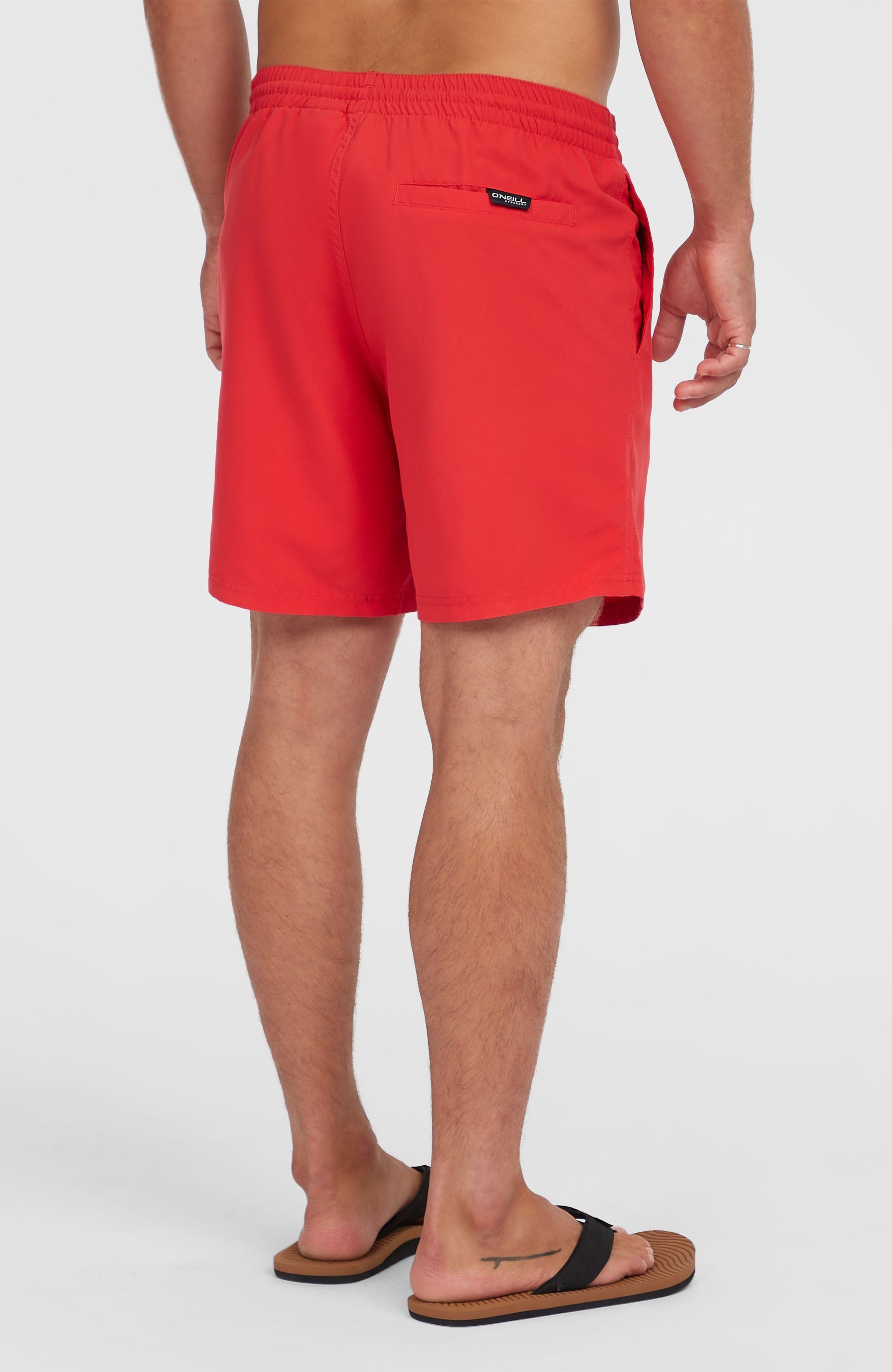 Cali 16" Swim Shorts Men High Risk Red