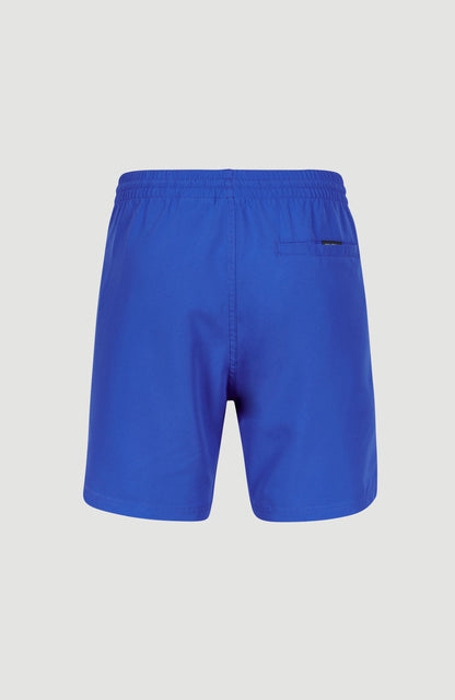 Cali 16" Swim Shorts Men Victoria Blue