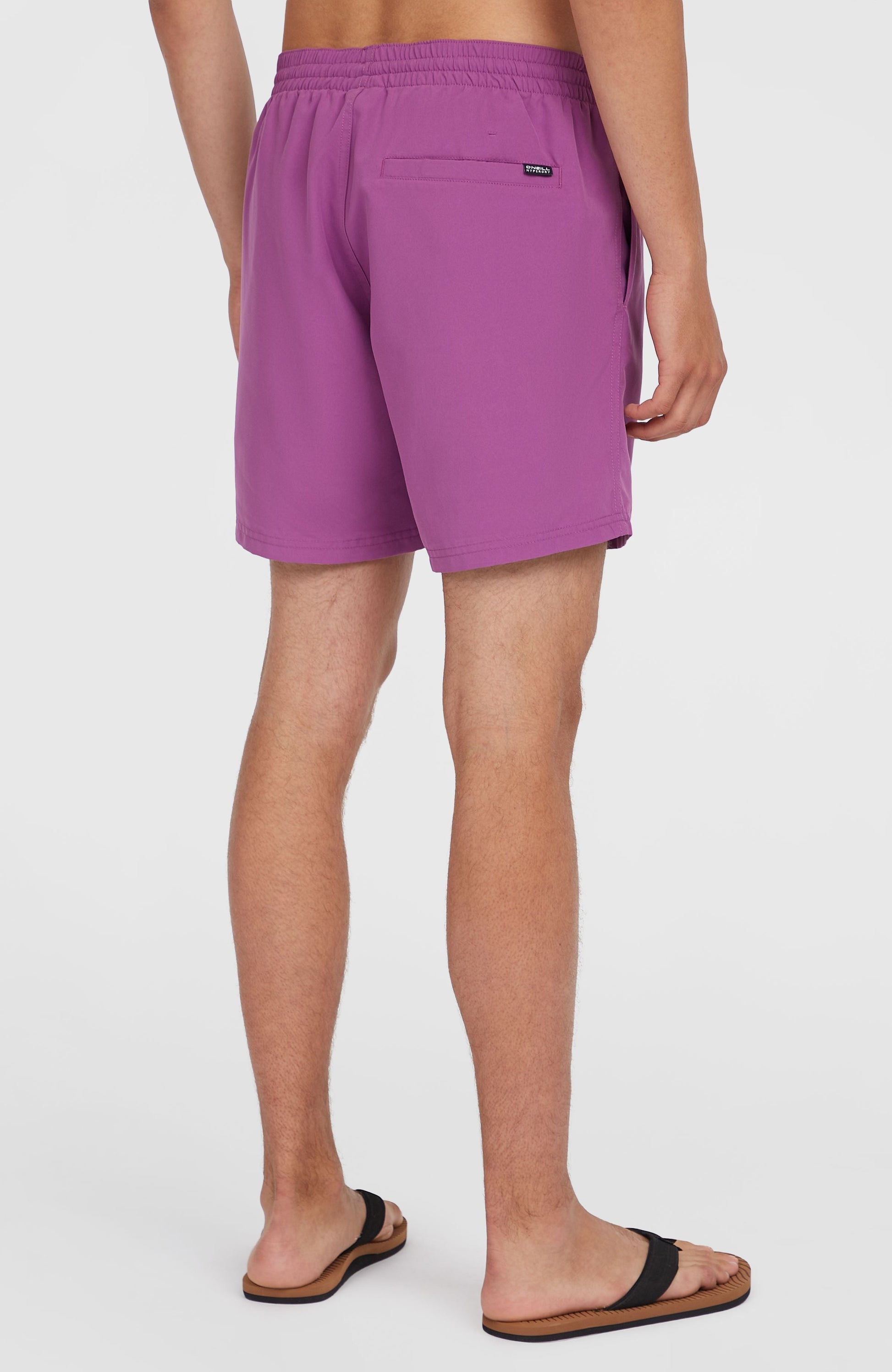 Original Cali 16'' Swim Shorts Men Sweet Grape