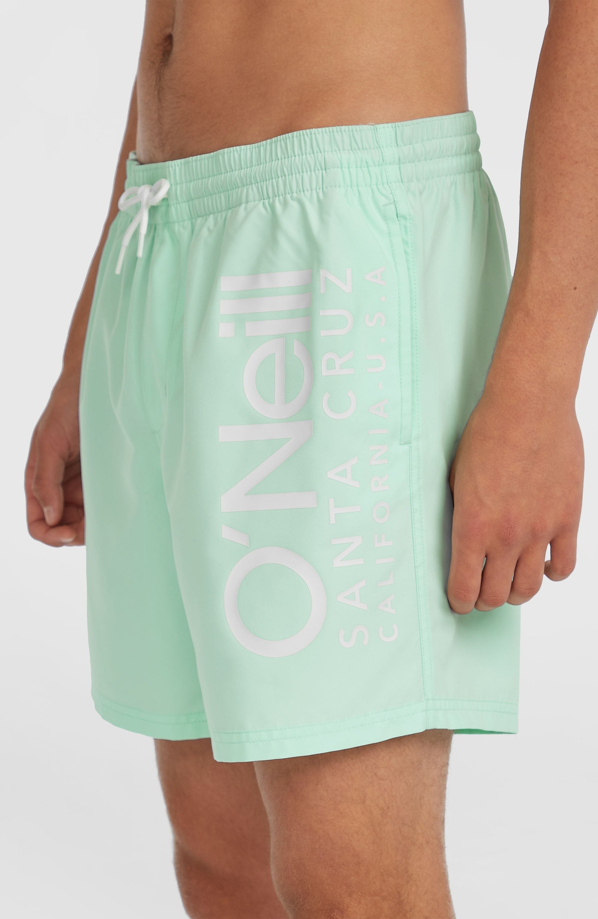 Original Cali 16'' Swim Shorts Men Mildrew Mint