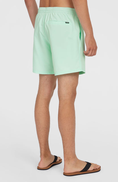 Original Cali 16'' Swim Shorts Men Mildrew Mint