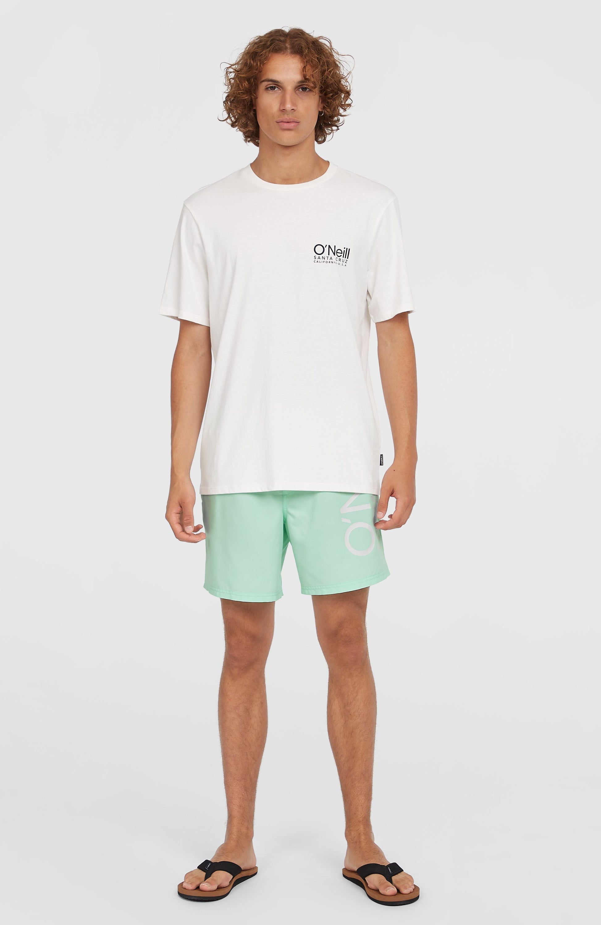 Original Cali 16'' Swim Shorts Men Mildrew Mint