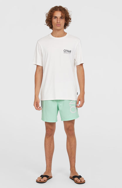 Original Cali 16'' Swim Shorts Men Mildrew Mint