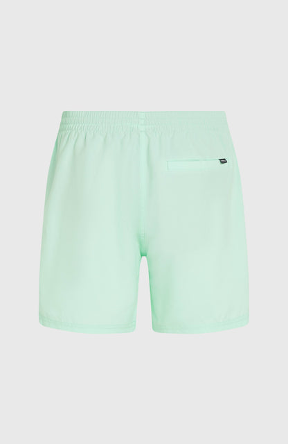 Original Cali 16'' Swim Shorts Men Mildrew Mint